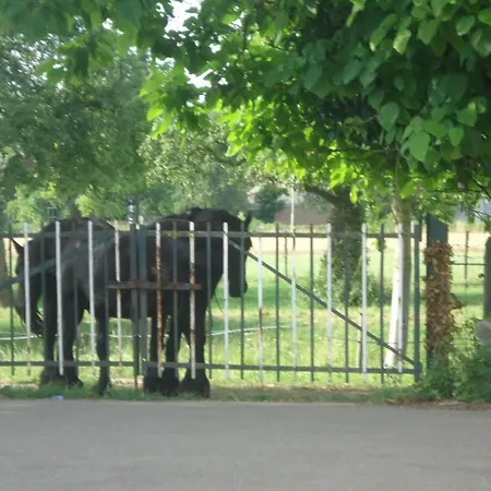 Appartamento Meschermolen 3