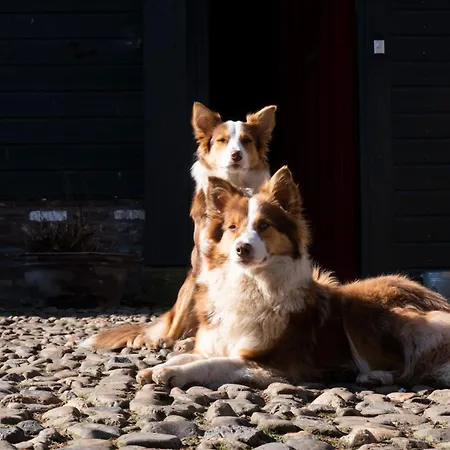 Apartment Meschermolen 3