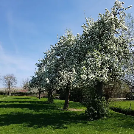 Meschermolen 3 * Withuis