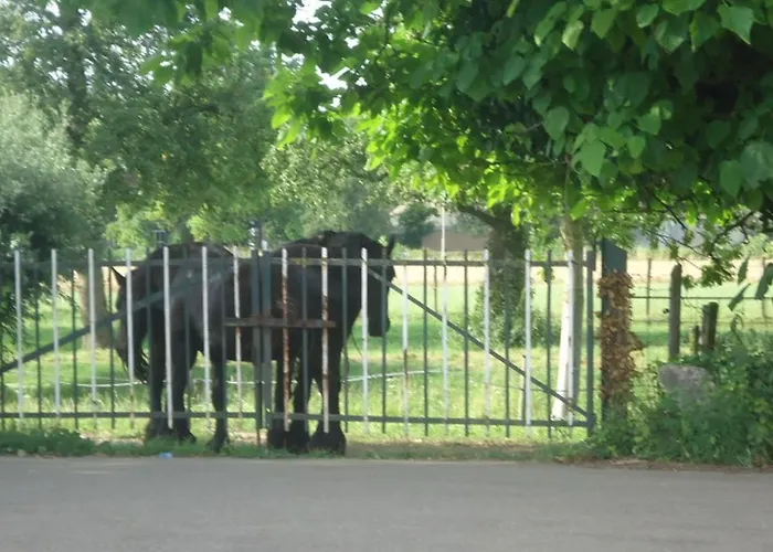 Апартаменты Meschermolen 3