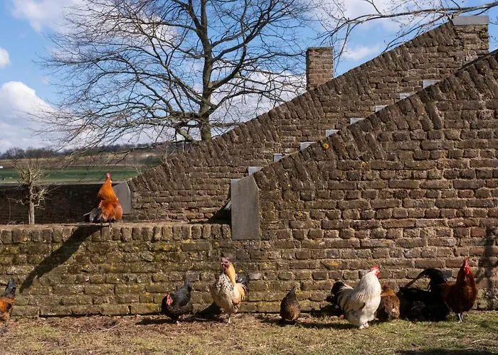 Апартаменты Meschermolen 3 *