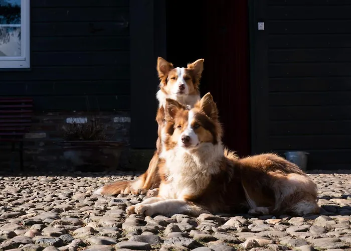 Апартаменты Meschermolen 3