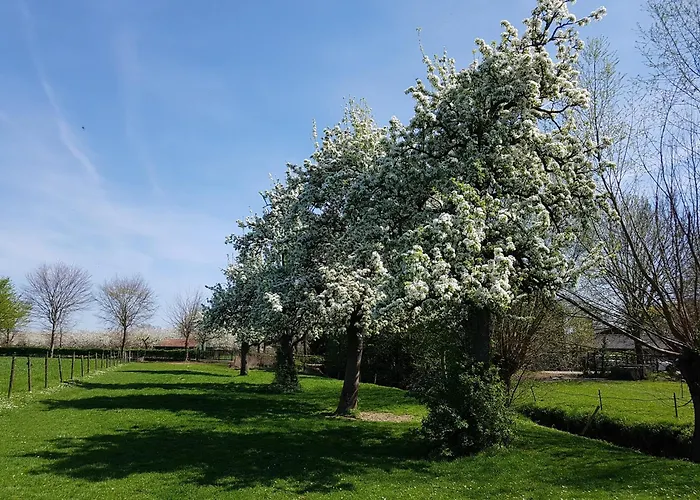 Meschermolen 3 * Withuis