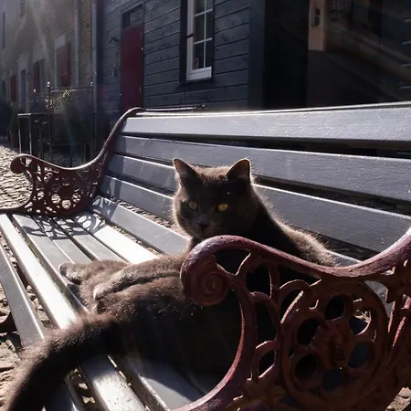 Meschermolen 3 Apartmán *