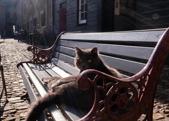 Meschermolen 3 شقة *